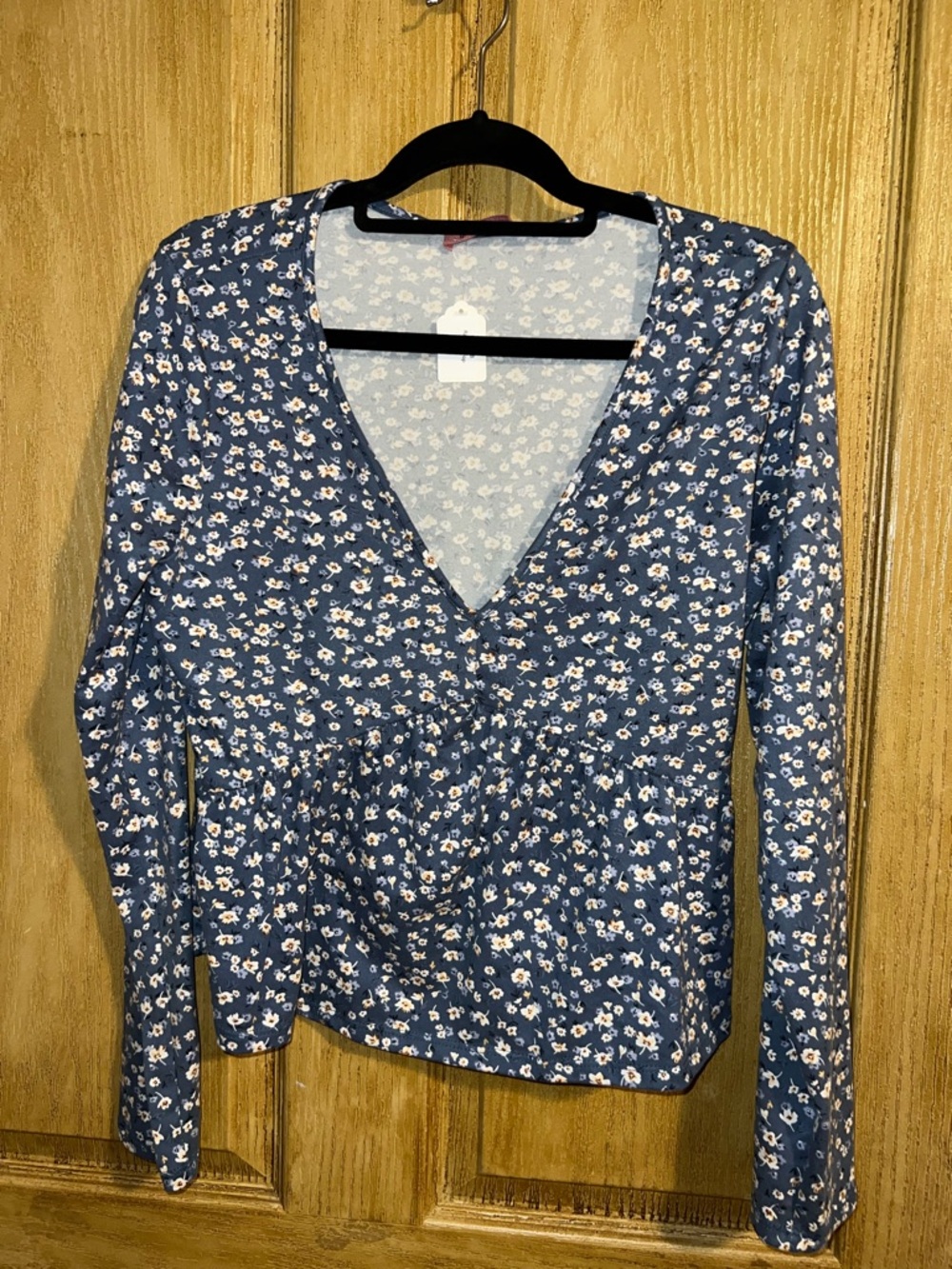 Ragdoll Blue Floral V-Neck Long Sleeve Top
